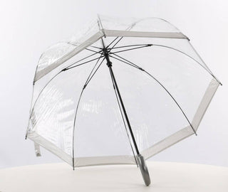 Clear Dome Vinyl Umbrella Silver I Soake