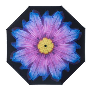 Inside out Purple Daisy Umbrella - EDIOPUD: Purple