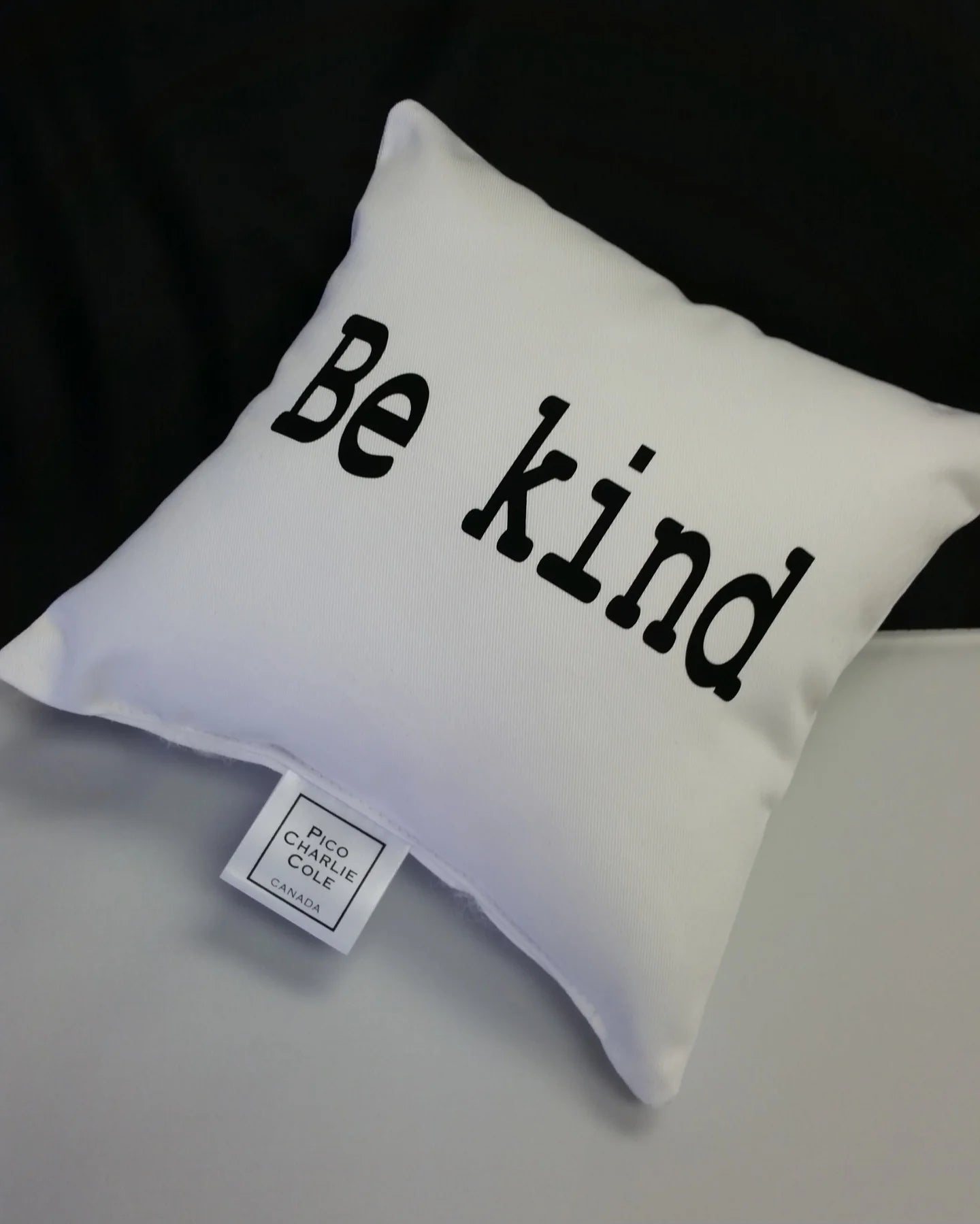Mini Pillow | Pico Charlie Cole