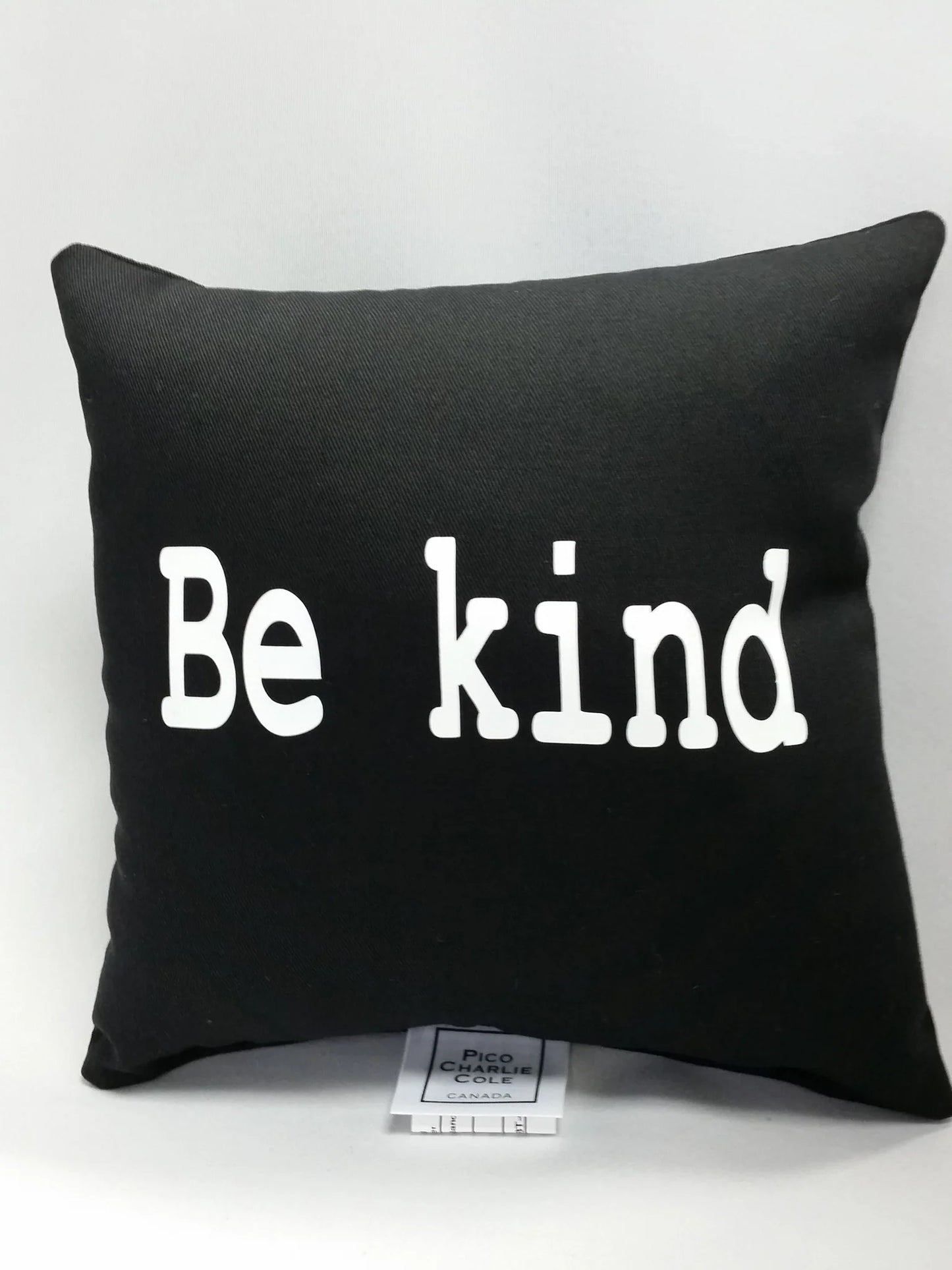 Mini Pillow | Pico Charlie Cole