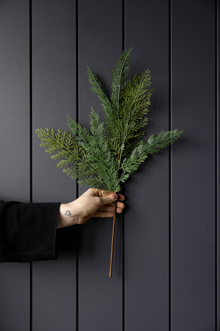 Cypress Leaf Full Real Touch Stems: Large Stem - 42"