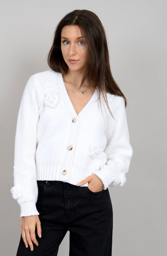 Lysandra Long Sleeve V-neck Cardigan | RD Style