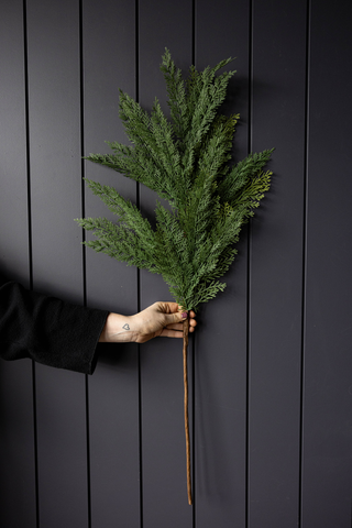 Cypress Leaf Full Real Touch Stems: Large Stem - 42"